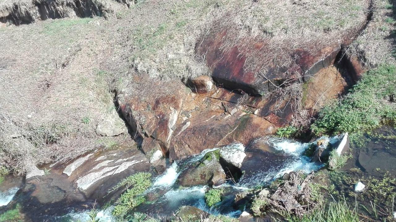Quinta De الفارينغا المظهر الخارجي الصورة